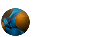 Audit and Inspection